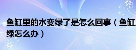 鱼缸里的水变绿了是怎么回事（鱼缸里的水变绿怎么办）