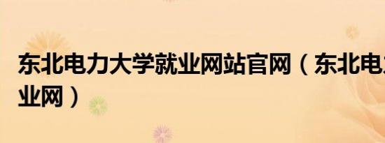 东北电力大学就业网站官网（东北电力大学就业网）