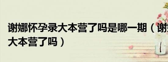 谢娜怀孕录大本营了吗是哪一期（谢娜怀孕录大本营了吗）