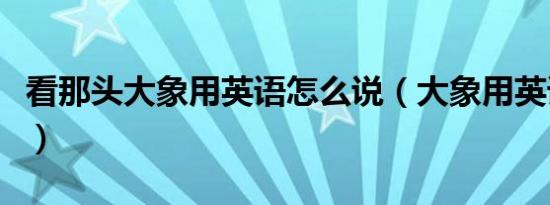 看那头大象用英语怎么说（大象用英语怎么说）