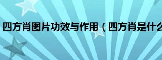 四方肖图片功效与作用（四方肖是什么生肖）