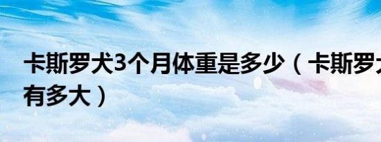 卡斯罗犬3个月体重是多少（卡斯罗犬三个月有多大）