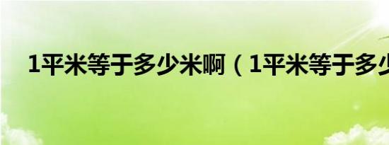 1平米等于多少米啊（1平米等于多少米）