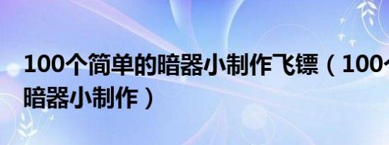 100个简单的暗器小制作飞镖（100个简单的暗器小制作）