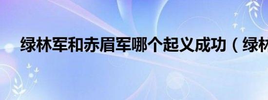 绿林军和赤眉军哪个起义成功（绿林军）