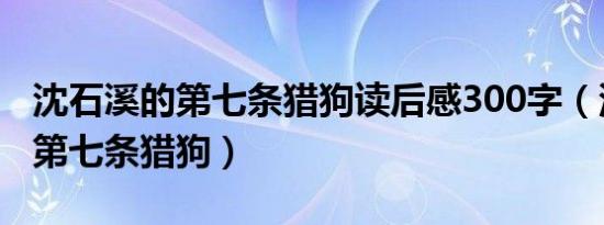 沈石溪的第七条猎狗读后感300字（沈石溪的第七条猎狗）