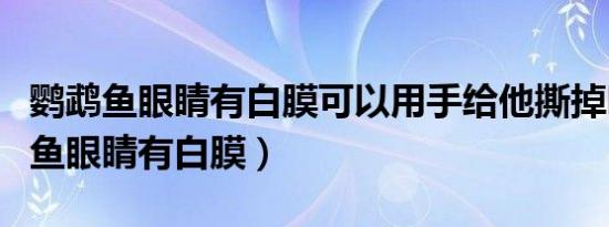 鹦鹉鱼眼睛有白膜可以用手给他撕掉吗（鹦鹉鱼眼睛有白膜）