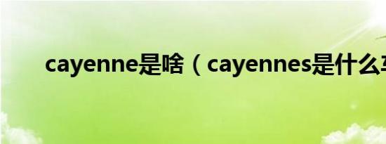 cayenne是啥（cayennes是什么车）