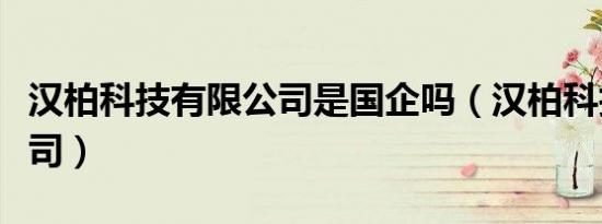 汉柏科技有限公司是国企吗（汉柏科技有限公司）