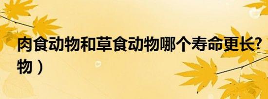 肉食动物和草食动物哪个寿命更长?（肉食动物）