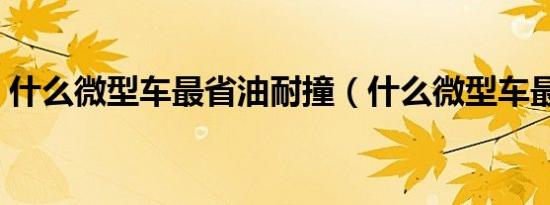 什么微型车最省油耐撞（什么微型车最省油）