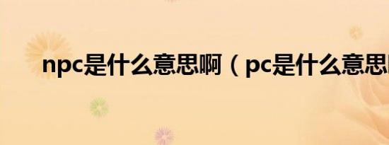 npc是什么意思啊（pc是什么意思啊）