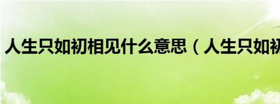 人生只如初相见什么意思（人生只如初相见）