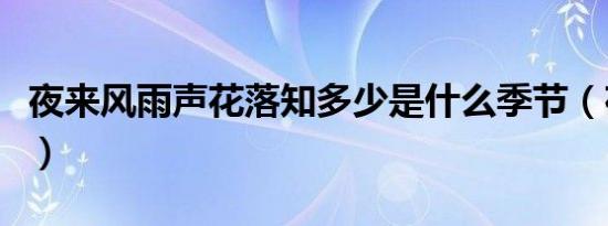 夜来风雨声花落知多少是什么季节（夜来风雨）