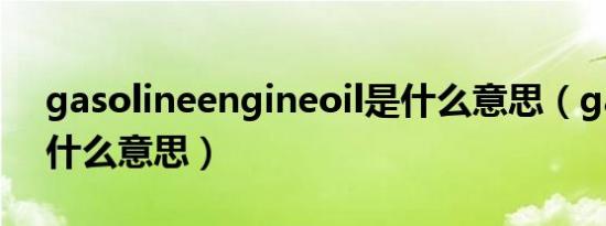 gasolineengineoil是什么意思（gasoline什么意思）