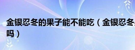 金银忍冬的果子能不能吃（金银忍冬果实能吃吗）