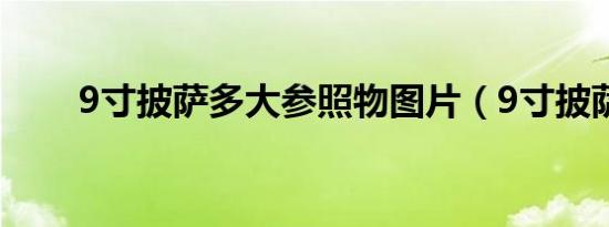 9寸披萨多大参照物图片（9寸披萨）