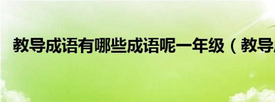 教导成语有哪些成语呢一年级（教导成语）