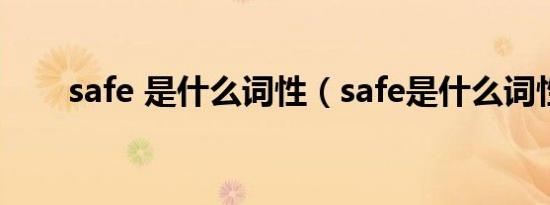 safe 是什么词性（safe是什么词性）