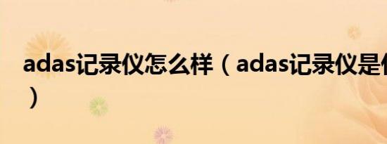 adas记录仪怎么样（adas记录仪是什么意思）