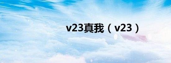 v23真我（v23）