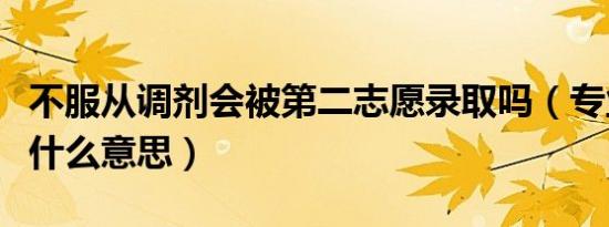 不服从调剂会被第二志愿录取吗（专业调剂是什么意思）