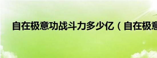 自在极意功战斗力多少亿（自在极意功）