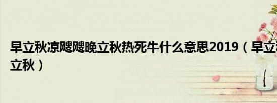 早立秋凉飕飕晚立秋热死牛什么意思2019（早立秋凉飕飕晚立秋）