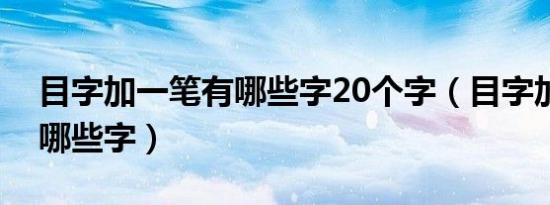 目字加一笔有哪些字20个字（目字加一笔有哪些字）