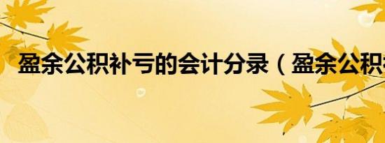 盈余公积补亏的会计分录（盈余公积补亏）