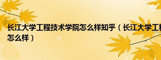 长江大学工程技术学院怎么样知乎（长江大学工程技术学院怎么样）