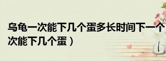 乌龟一次能下几个蛋多长时间下一个（乌龟一次能下几个蛋）