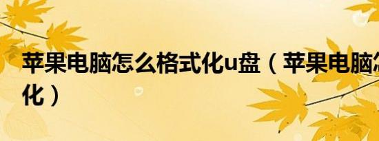 苹果电脑怎么格式化u盘（苹果电脑怎么格式化）