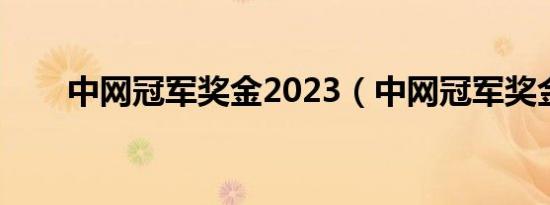 中网冠军奖金2023（中网冠军奖金）