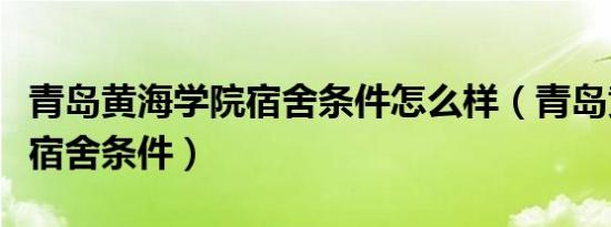 青岛黄海学院宿舍条件怎么样（青岛黄海学院宿舍条件）