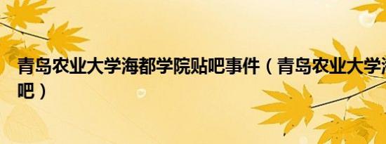 青岛农业大学海都学院贴吧事件（青岛农业大学海都学院贴吧）