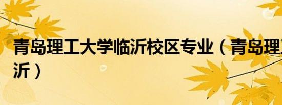 青岛理工大学临沂校区专业（青岛理工大学临沂）