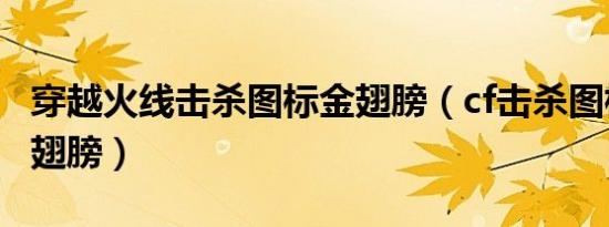 穿越火线击杀图标金翅膀（cf击杀图标升级金翅膀）