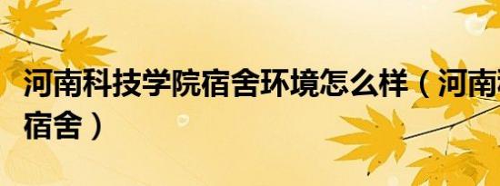 河南科技学院宿舍环境怎么样（河南科技学院宿舍）