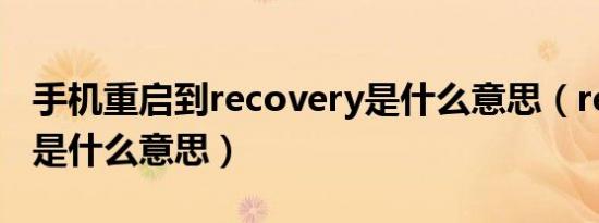 手机重启到recovery是什么意思（recovery是什么意思）