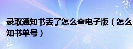 录取通知书丢了怎么查电子版（怎么查录取通知书单号）