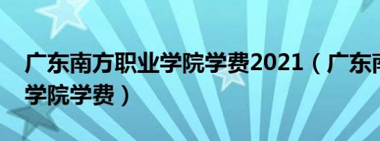 广东南方职业学院学费2021（广东南方职业学院学费）