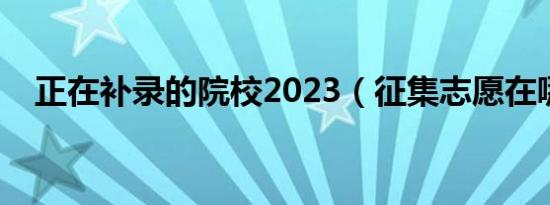 正在补录的院校2023（征集志愿在哪填）