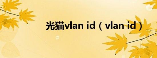 光猫vlan id（vlan id）