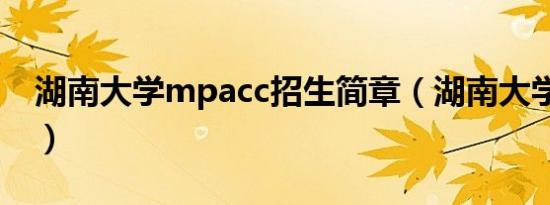 湖南大学mpacc招生简章（湖南大学mpacc）