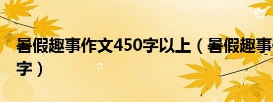 暑假趣事作文450字以上（暑假趣事作文450字）