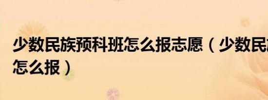 少数民族预科班怎么报志愿（少数民族预科班怎么报）