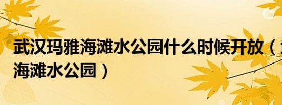 武汉玛雅海滩水公园什么时候开放（武汉玛雅海滩水公园）