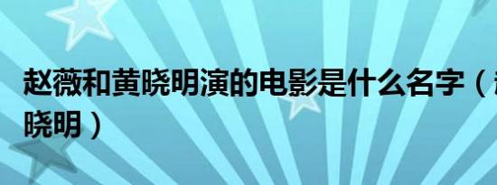 赵薇和黄晓明演的电影是什么名字（赵薇和黄晓明）