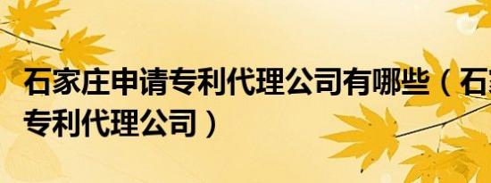 石家庄申请专利代理公司有哪些（石家庄申请专利代理公司）